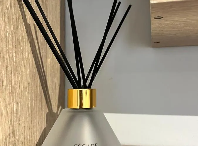 Dvm Escape Flat 2 דירה *