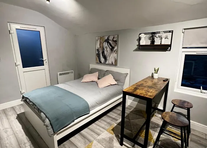 Dvm Escape Flat 2 Bristol